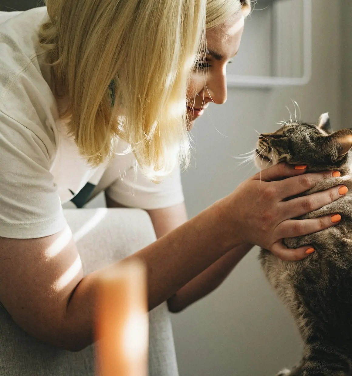 Medic veterinar consultând o pisică